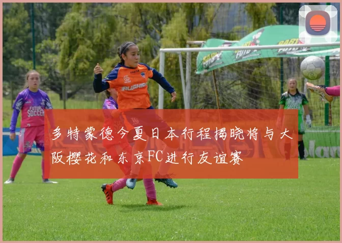 多特蒙德今夏日本行程揭晓将与大阪樱花和东京FC进行友谊赛